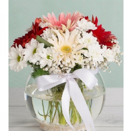 Fanusta Gerbera Ve Papatyalar
